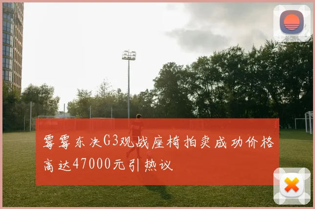 霉霉东决G3观战座椅拍卖成功价格高达47000元引热议