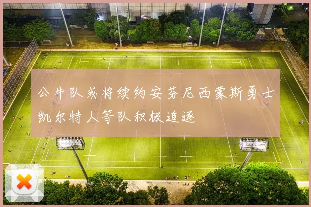 公牛队或将续约安芬尼西蒙斯勇士凯尔特人等队积极追逐